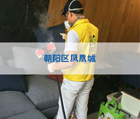 朝阳区凤凰城