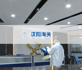 武汉汉阳中国海关消毒杀菌 