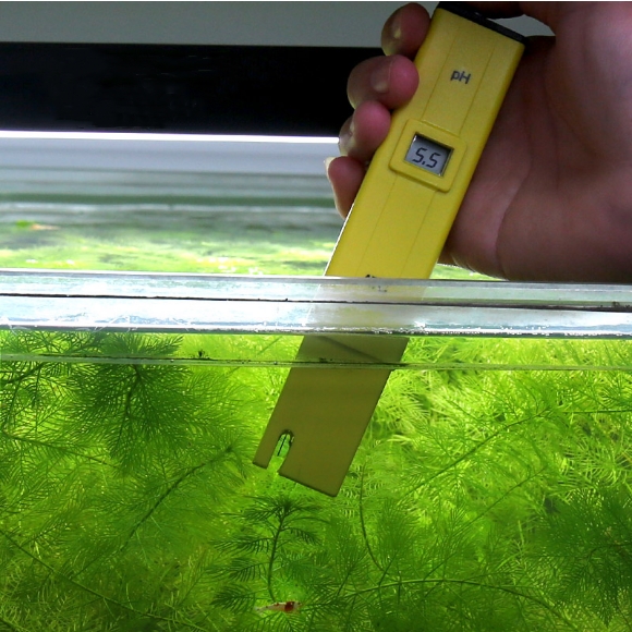 用了这么久84消毒液，原来84消毒靠的是它？