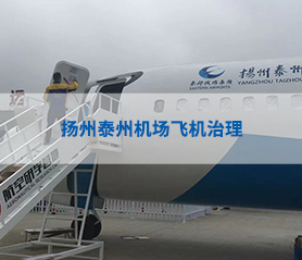 扬州泰州机场飞机治理
